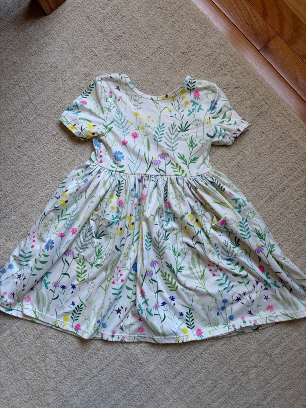 Mila and rose twirl dress